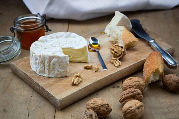 New Research Links Camembert Cheese to Better Brain Function